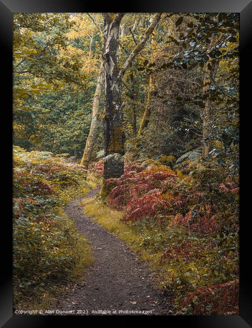 The path of transition to Autumn Framed Print by Alan Dunnett