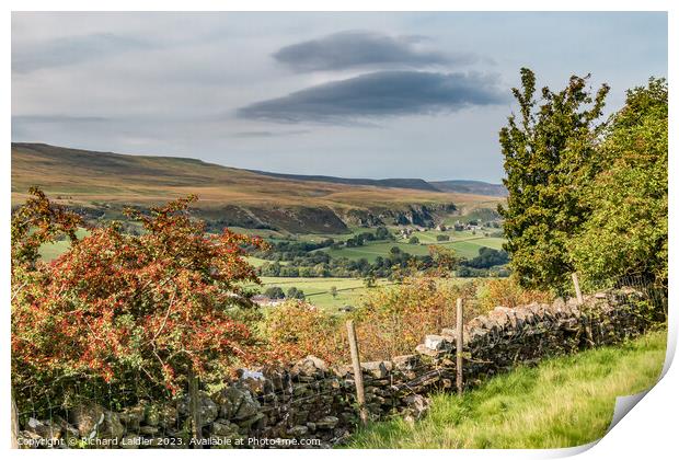 A Touch of Autumn on Middle Side, Teesdale Print by Richard Laidler