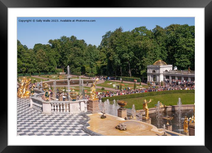 Peterhof grounds and fountains Framed Mounted Print by Sally Wallis