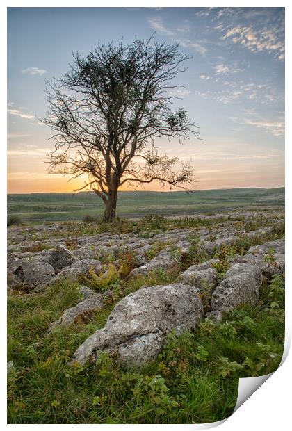 Malham Sunset Print by Jed Pearson