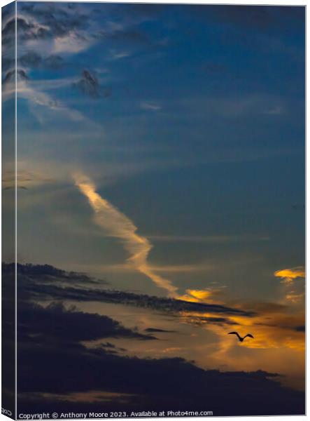 Serene Sky Spectacle Canvas Print by Anthony Moore