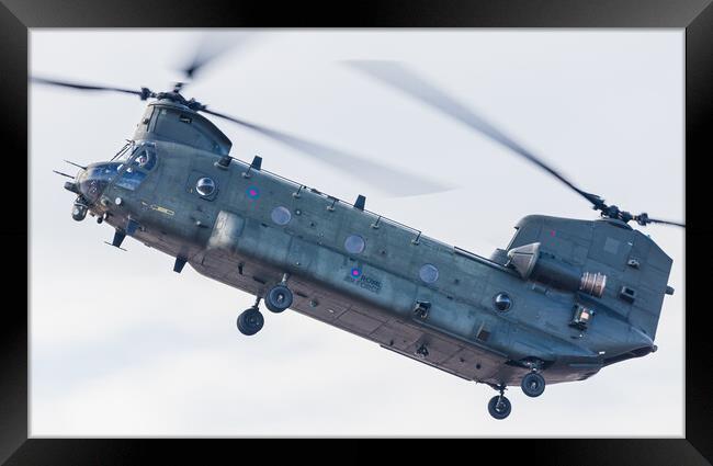 Chinook HC.4/6A in the hover Framed Print by Jason Wells