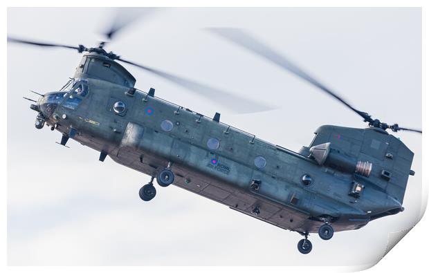 Chinook HC.4/6A in the hover Print by Jason Wells