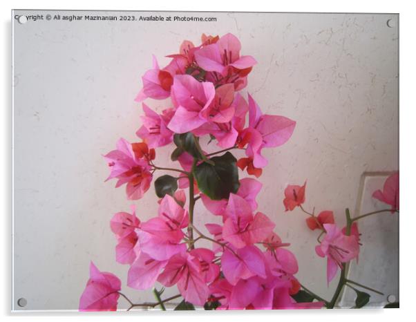 Persian Patio's Delicate Blossom Acrylic by Ali asghar Mazinanian