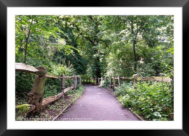 Apley Woods Walkway Framed Mounted Print by Pamela Reynolds