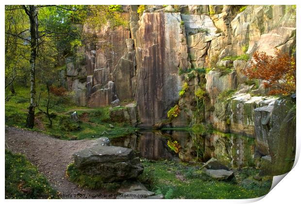 Bolehill Quarry Print by Alison Chambers