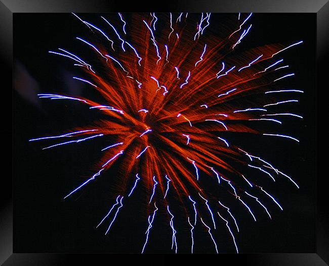 Fireworks Framed Print by Larry Stolle