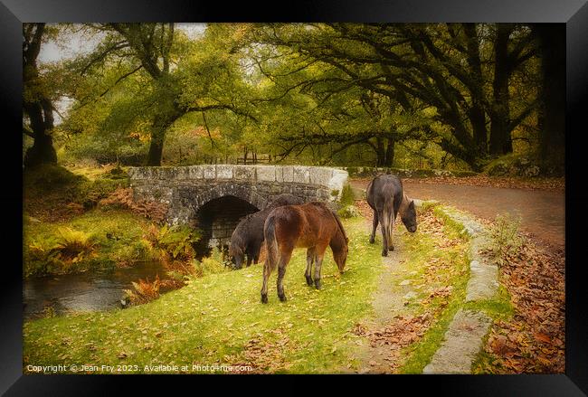 Ponies by a Dartmoor Bridge Framed Print by Jean Fry