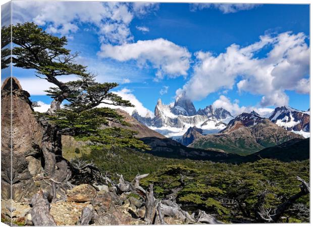 The trail to Mt Fitz Roy Canvas Print by Steve Painter