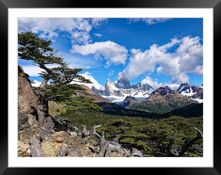 The trail to Mt Fitz Roy Framed Mounted Print by Steve Painter