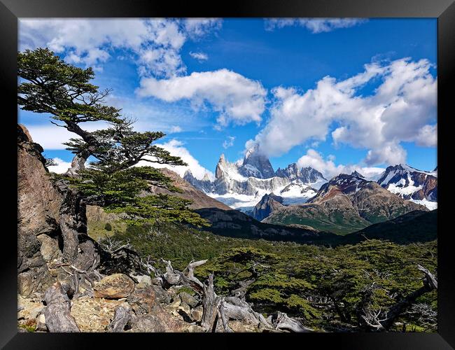 The trail to Mt Fitz Roy Framed Print by Steve Painter