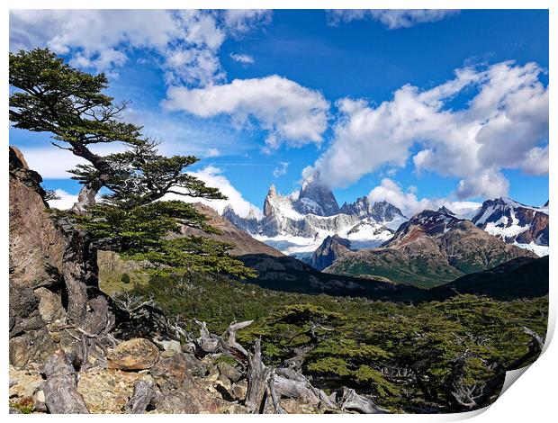 The trail to Mt Fitz Roy Print by Steve Painter