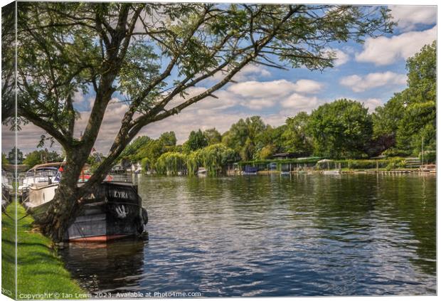 By Mill Meadows at Henley on Thames Canvas Print by Ian Lewis