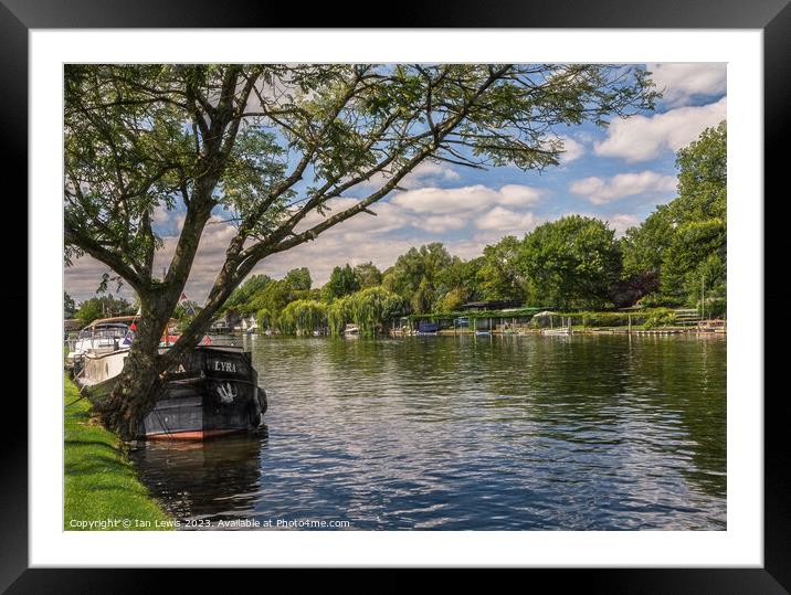 By Mill Meadows at Henley on Thames Framed Mounted Print by Ian Lewis
