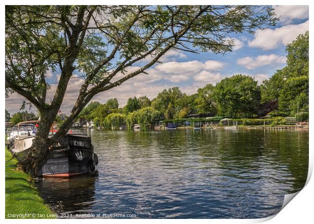 By Mill Meadows at Henley on Thames Print by Ian Lewis