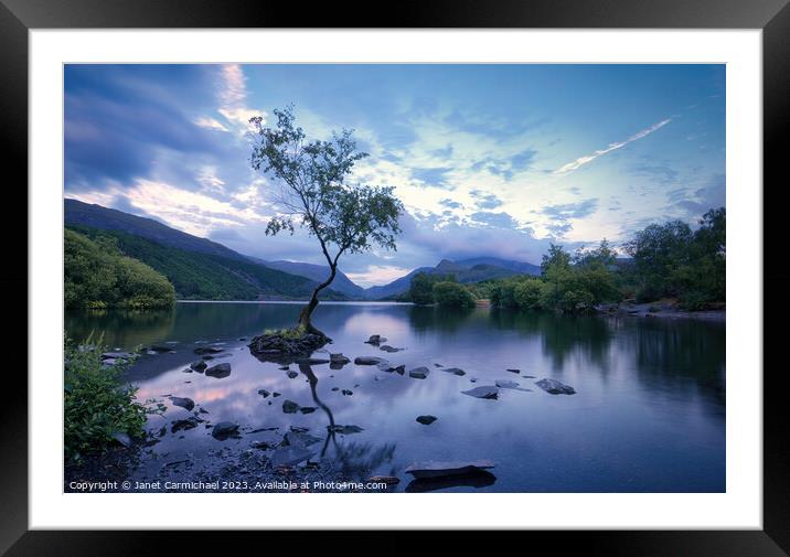Blue Hour at the Lone Tree of Llanberis Framed Mounted Print by Janet Carmichael