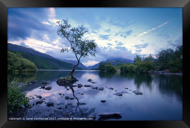 Blue Hour at the Lone Tree of Llanberis Framed Print by Janet Carmichael