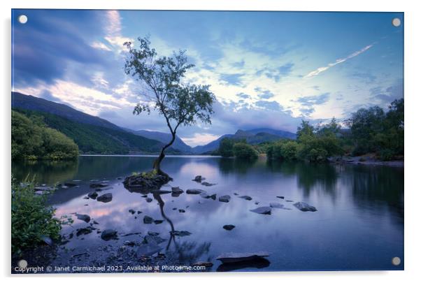 Blue Hour at the Lone Tree of Llanberis Acrylic by Janet Carmichael