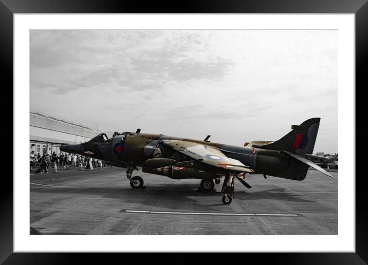 Harrier Framed Mounted Print by Glen Allen