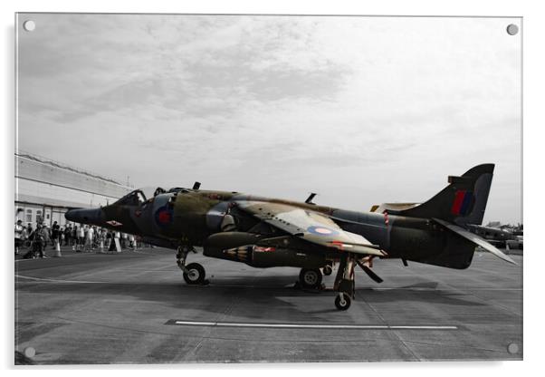 Harrier Acrylic by Glen Allen