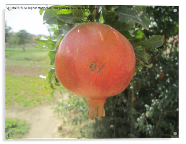Pomegranate Acrylic by Ali asghar Mazinanian