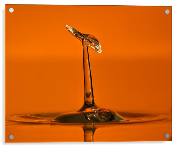 Water droplet  Acrylic by David Martin