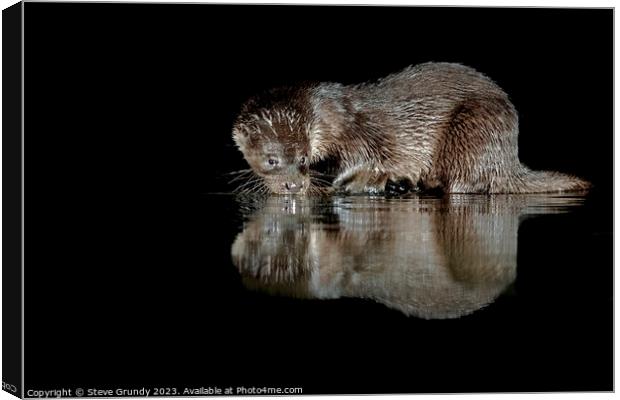 Otter Caught in the Act Canvas Print by Steve Grundy