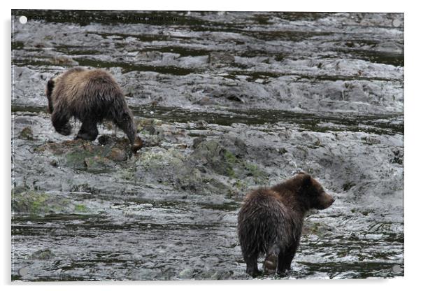 Bears in Alaska Acrylic by Arun 