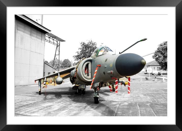 Harrier 3 Framed Mounted Print by Glen Allen