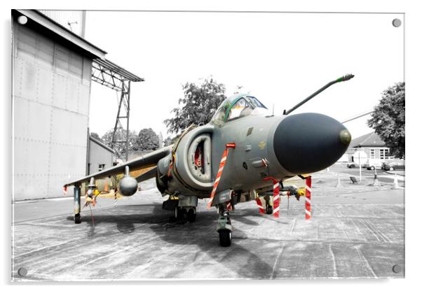 Harrier 3 Acrylic by Glen Allen