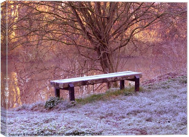 The Bench Canvas Print by Andrew Middleton