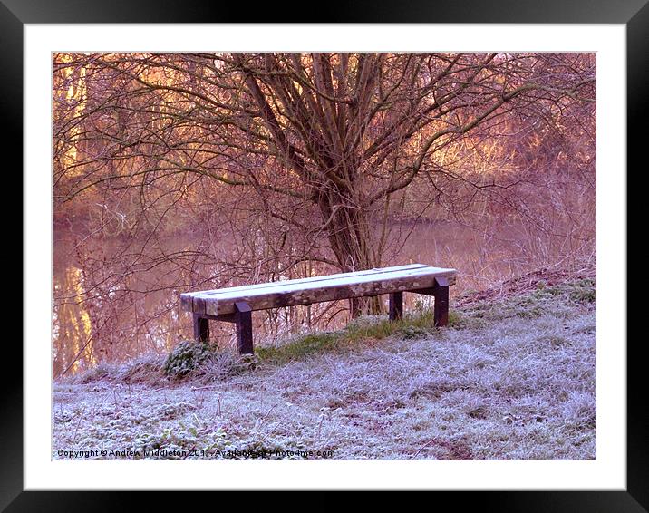 The Bench Framed Mounted Print by Andrew Middleton