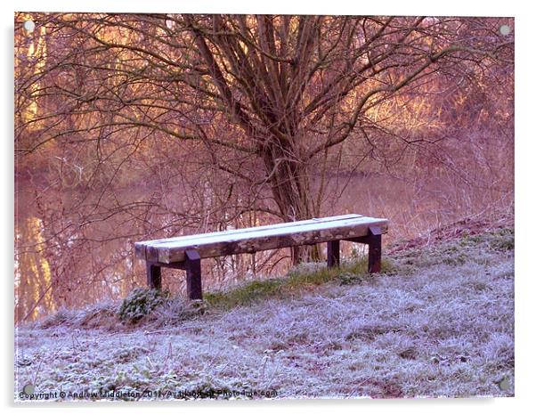 The Bench Acrylic by Andrew Middleton