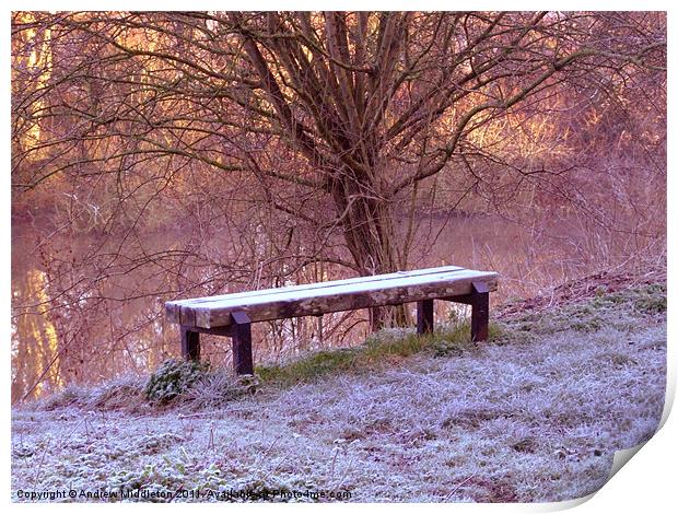 The Bench Print by Andrew Middleton