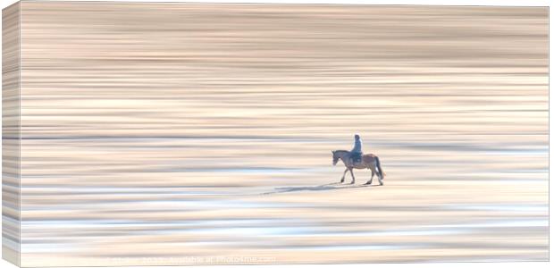 A Ride On The Beach Canvas Print by Richard Stoker