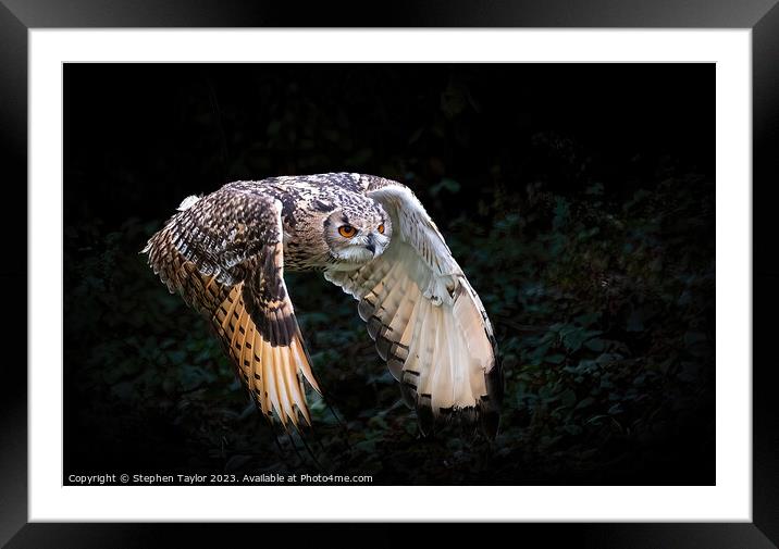 Eagle Owl Framed Mounted Print by Stephen Taylor