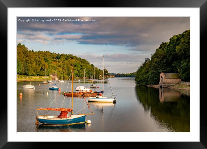 Rudyard lake Framed Mounted Print by tammy mellor