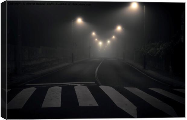 Night shot of a desolate, empty and abandoned city street with streetlights illuminating the road Canvas Print by Kristof Bellens