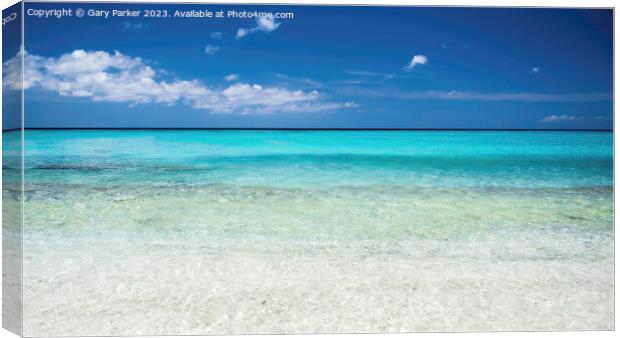 A tropical ocean, with a crystal clear, turquoise sea. Canvas Print by Gary Parker