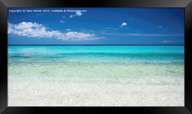 A tropical ocean, with a crystal clear, turquoise sea. Framed Print by Gary Parker