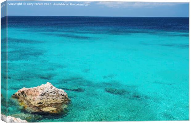 A tropical ocean, with a crystal clear, turquoise sea.  Canvas Print by Gary Parker