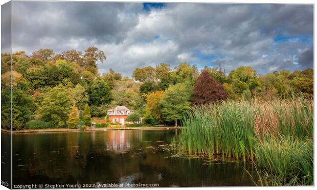 Autumn Colours Along the Thames Riverbank Canvas Print by Stephen Young