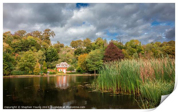 Autumn Colours Along the Thames Riverbank Print by Stephen Young