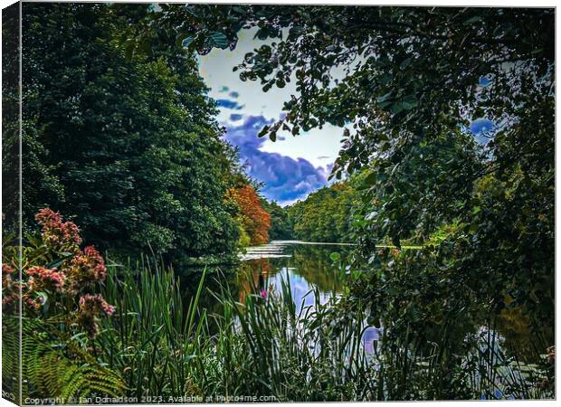 Lake in the Forest Canvas Print by Ian Donaldson
