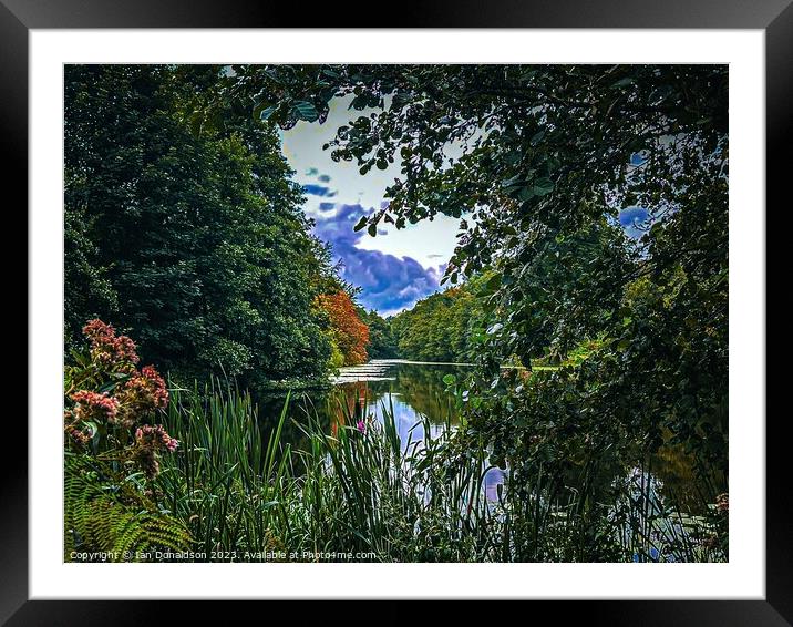 Lake in the Forest Framed Mounted Print by Ian Donaldson