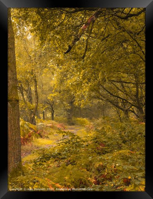 Autumn's Verdant Embrace Framed Print by Alan Dunnett