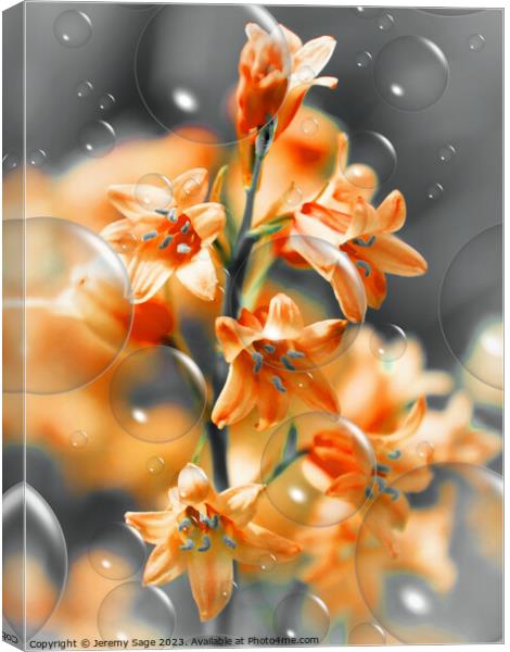Effervescence of Orange Blooms Canvas Print by Jeremy Sage