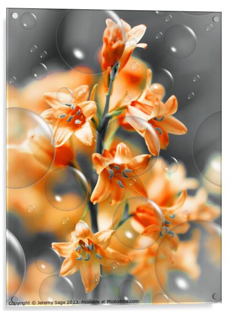 Effervescence of Orange Blooms Acrylic by Jeremy Sage