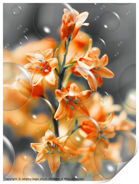 Effervescence of Orange Blooms Print by Jeremy Sage