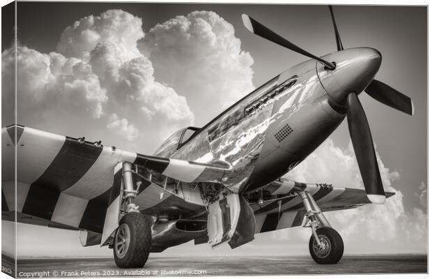 fighter plane Canvas Print by Frank Peters